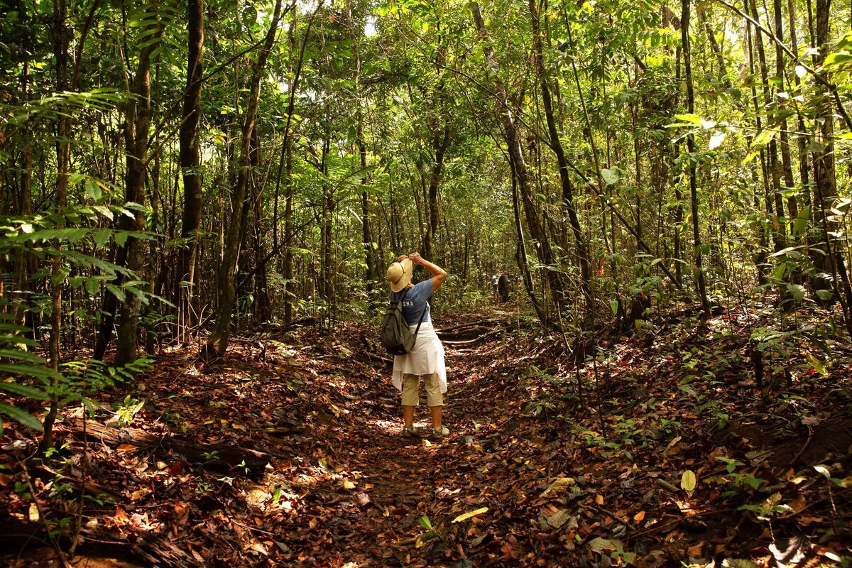 Costa Rica rainforest trail, Pia Harboure