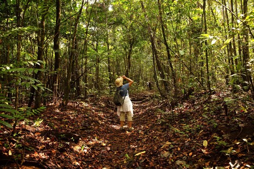 Costa Rica rainforest trail, Pia Harboure