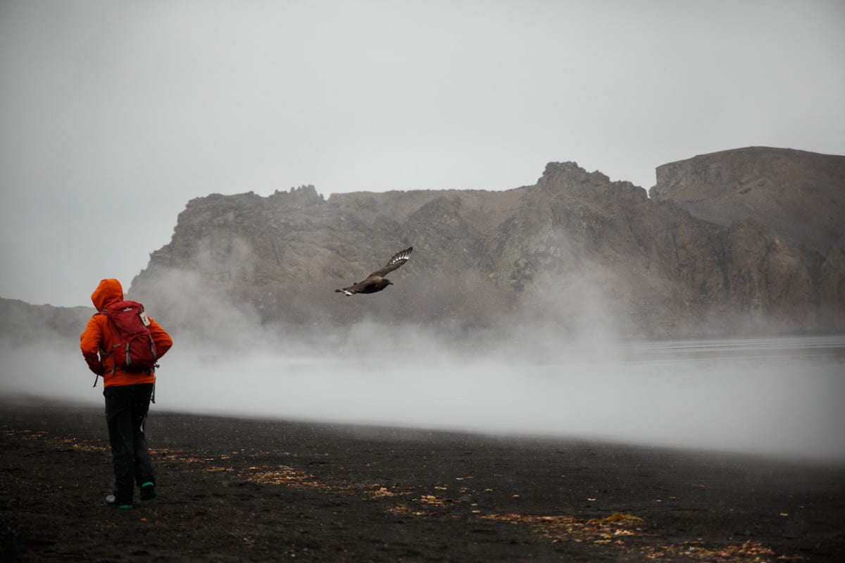 Geothermal waters of Deception Island