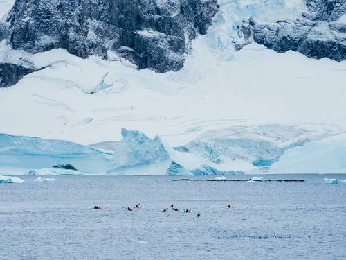 Kayakers, Danco Island, Antarctica, Matt Horspool