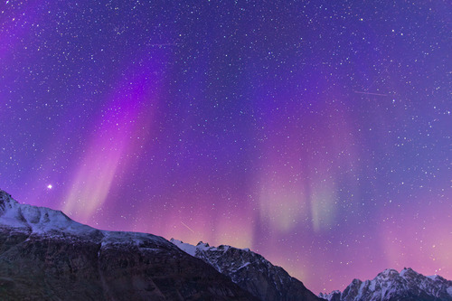 Northern Lights (Aurora Borealis), Alpefjord, Greenland, Adrian Wlodarczyk