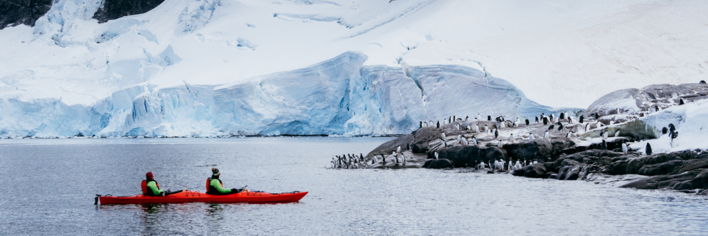 Website screen Antarctica 3