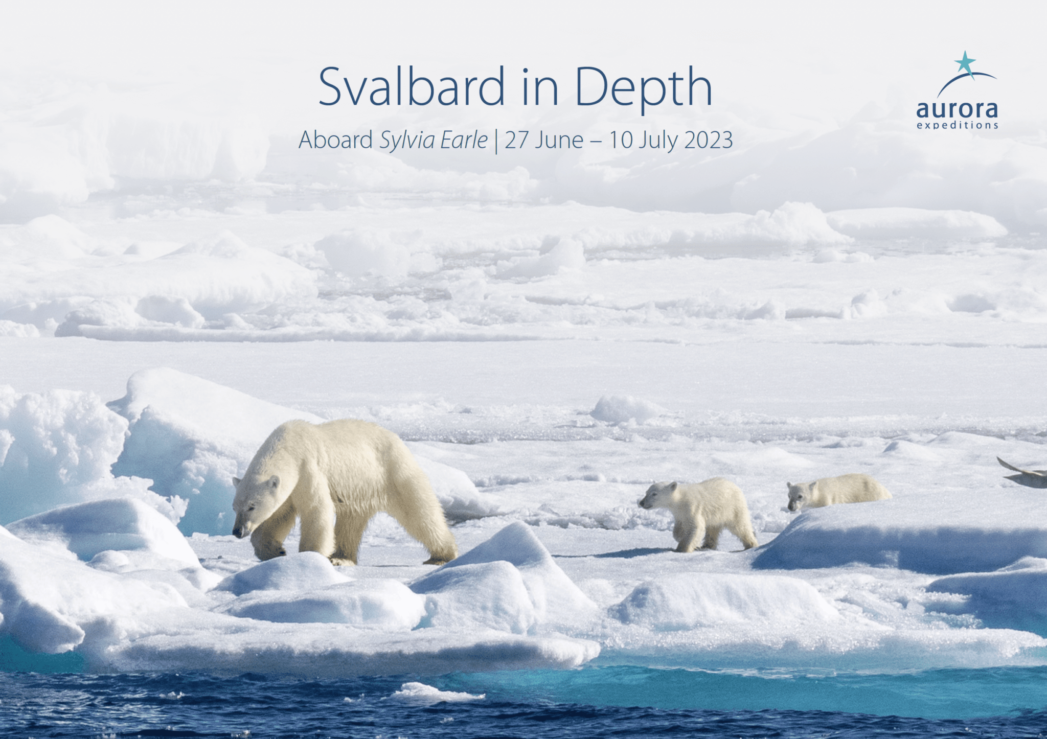 SVD001S-Cover