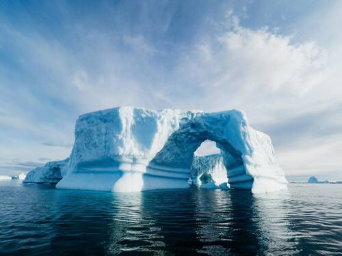 South Georgia, Falklands & Antarctica | South Georgia Cruise