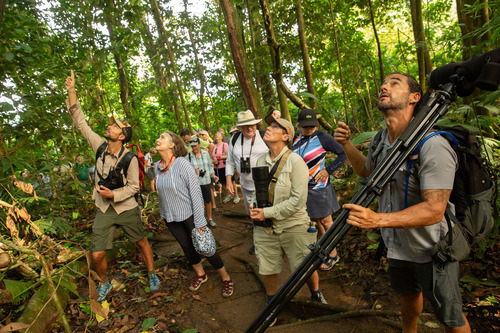 Rainforest trail, Costa Rica, Pia Harboure