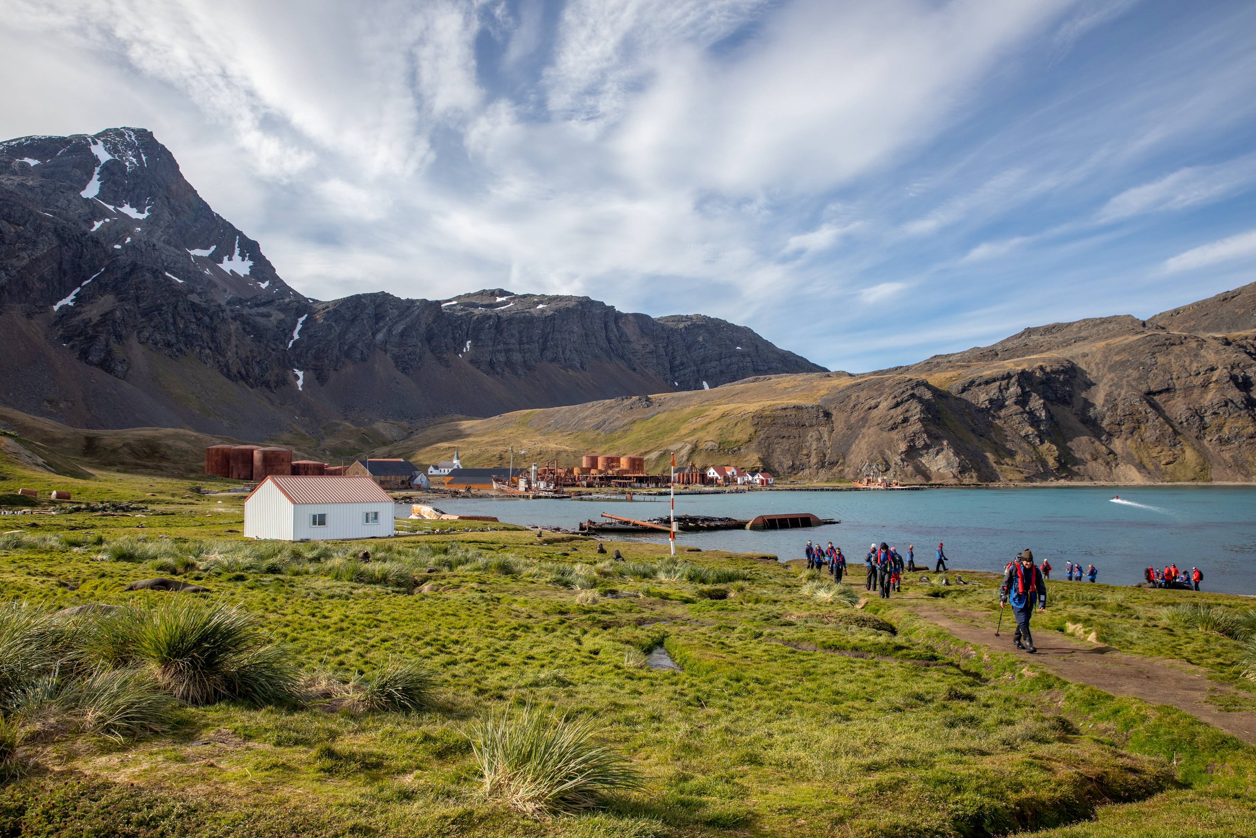 Grytviken, South Georgia, Pia Harboure
