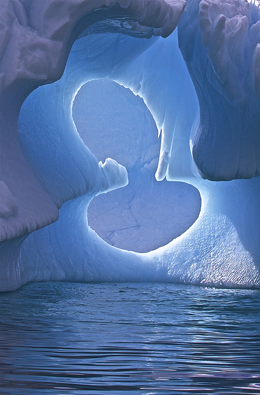 Antarctica photo competition first runner up