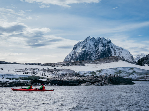 Kayakers Stopping to Look at Penguins, Pleneau & Port Charcot, Antarctica, Matt Horspool