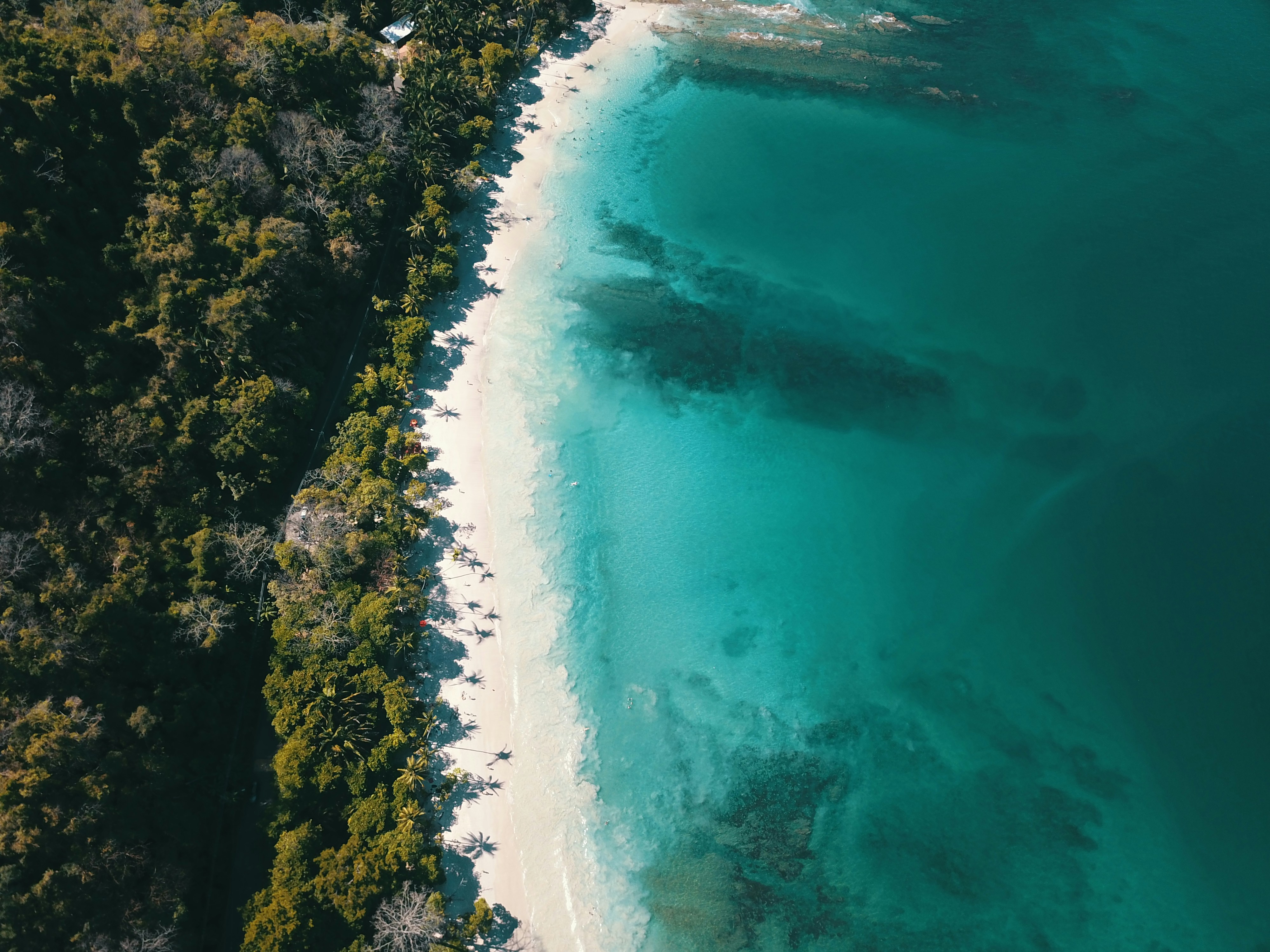 Aerial View of Punta Leona, Costa Rica, Unsplash