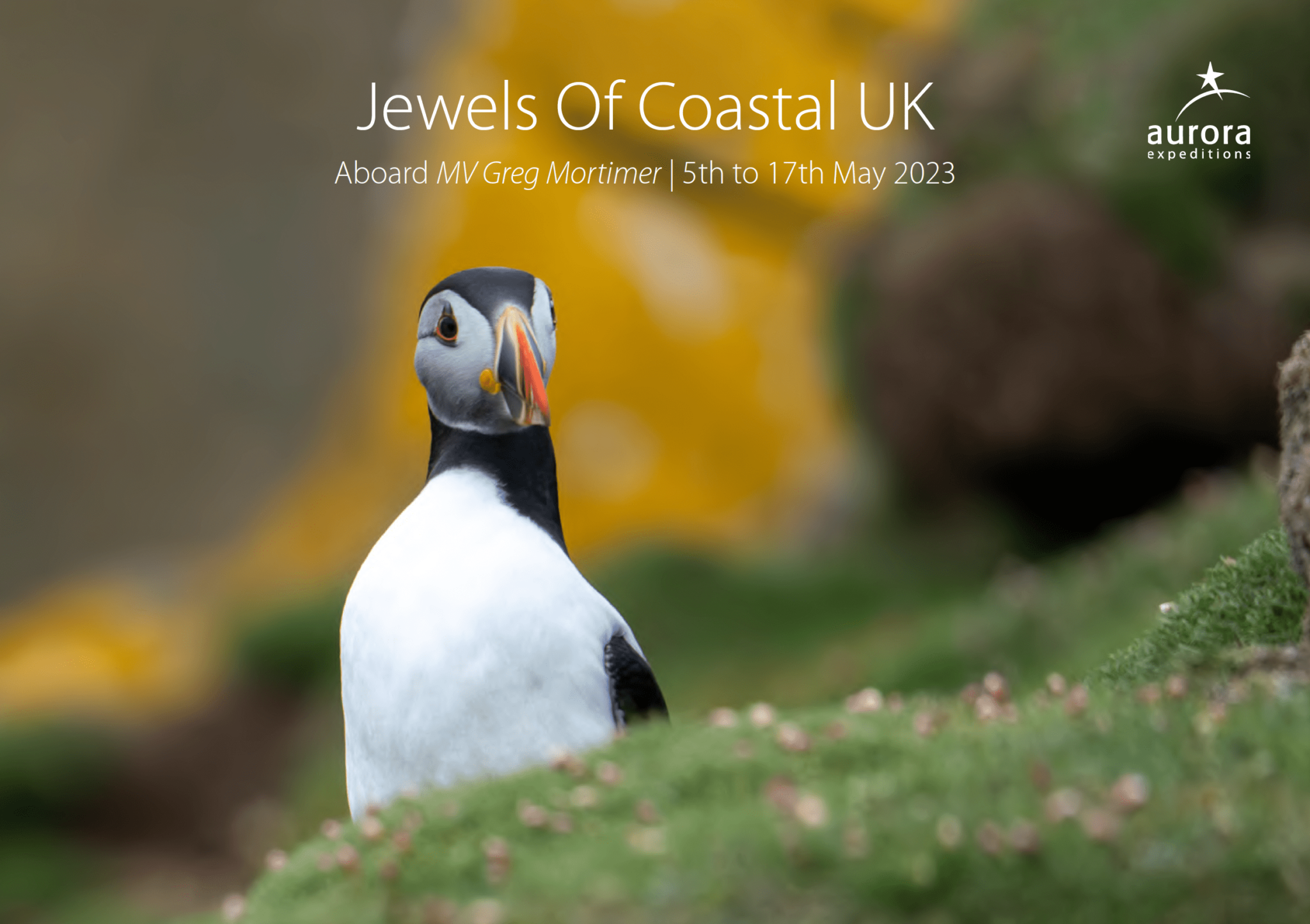 UKC001G-cover