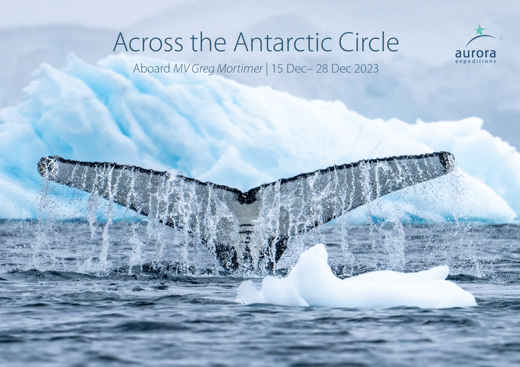 ANC008G-cover