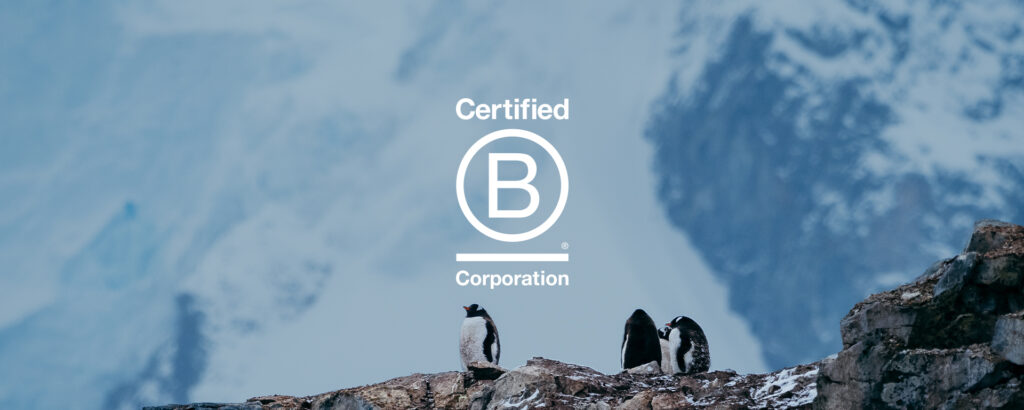 b-corp-penguin-header-1024x410.jpeg
