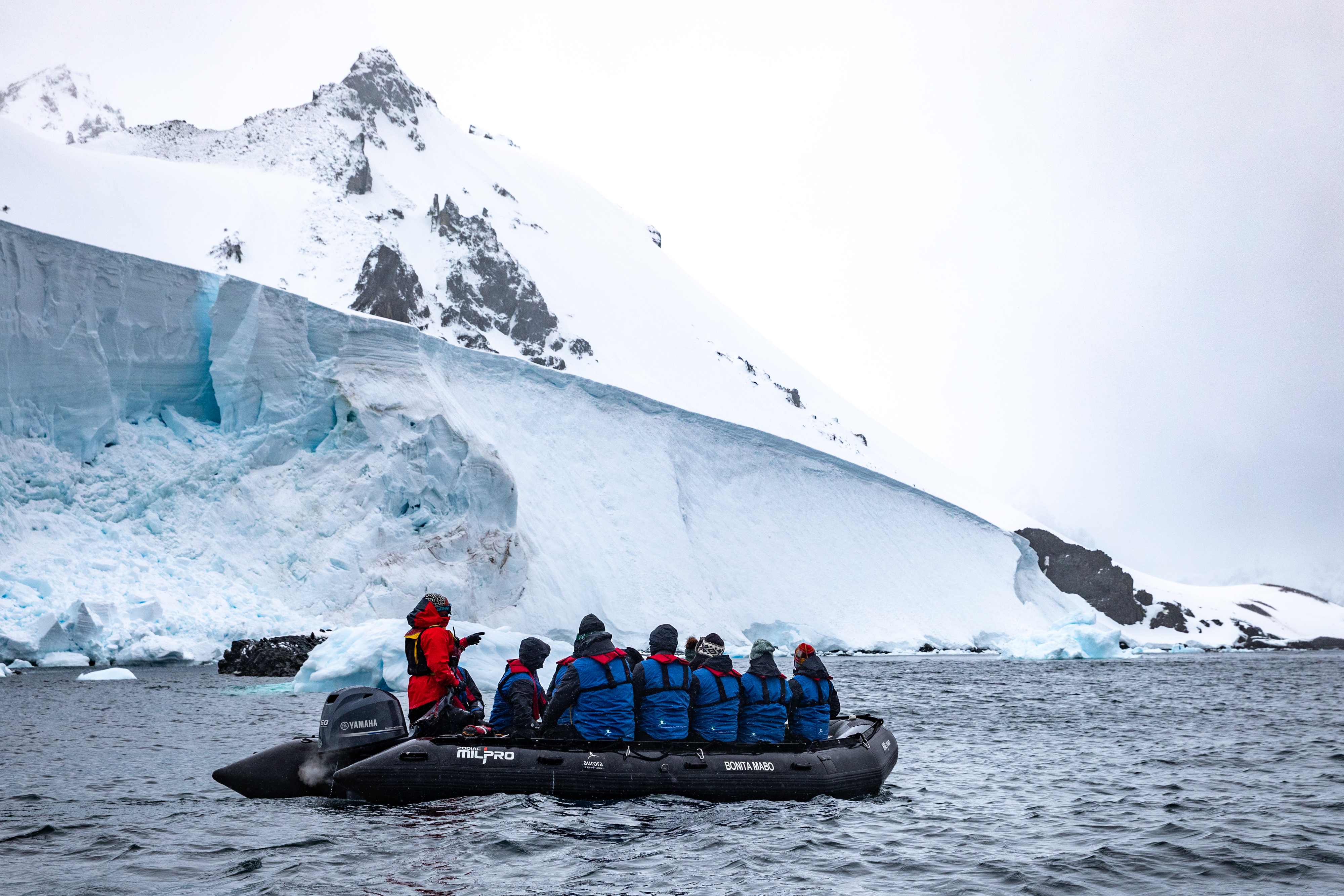 Zodiac Cruising, Orne Harbour, Antarctica, Pia Harboure