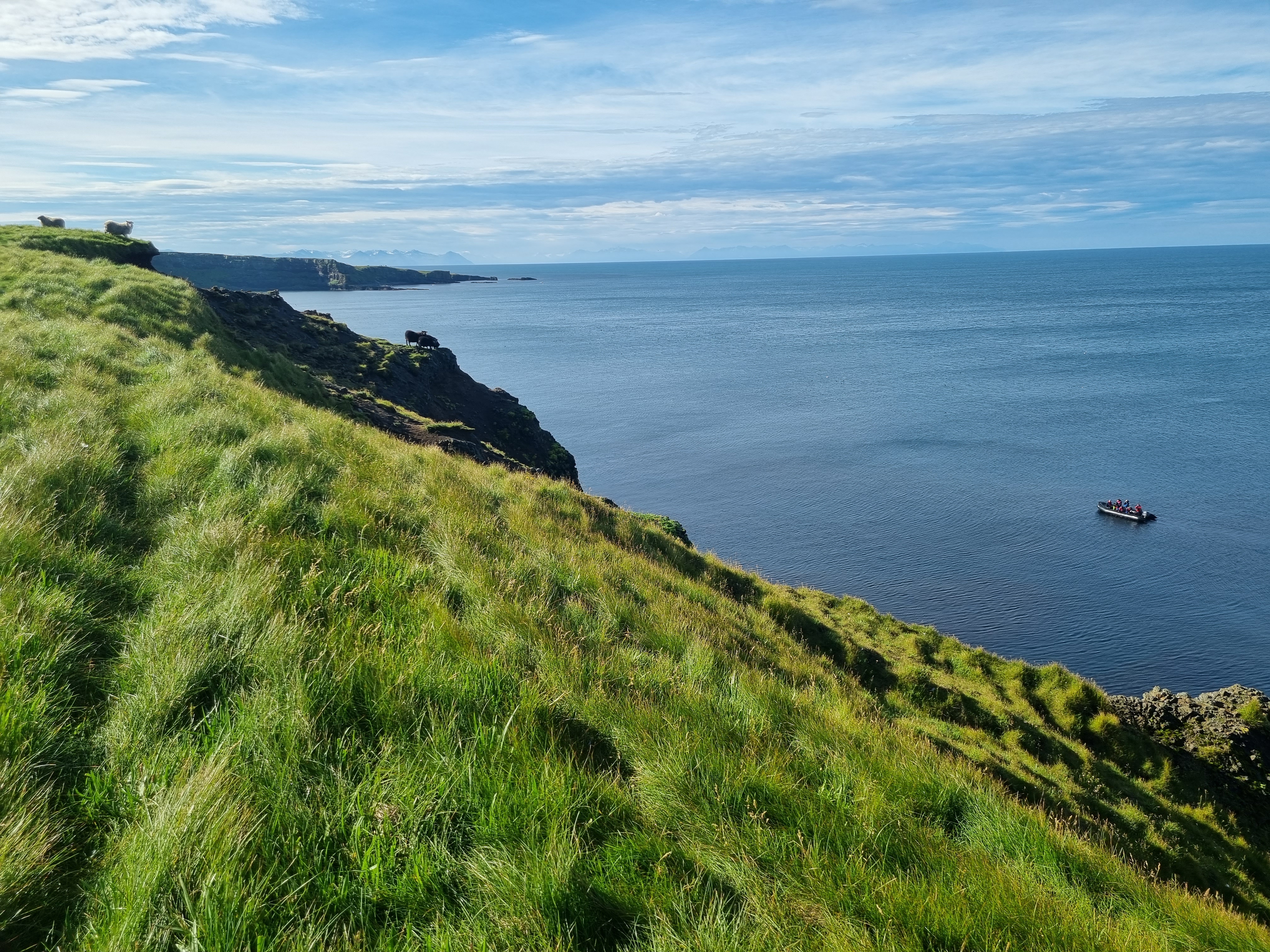 Grimsey-Iceland-Oksana-Prokopenko.jpg