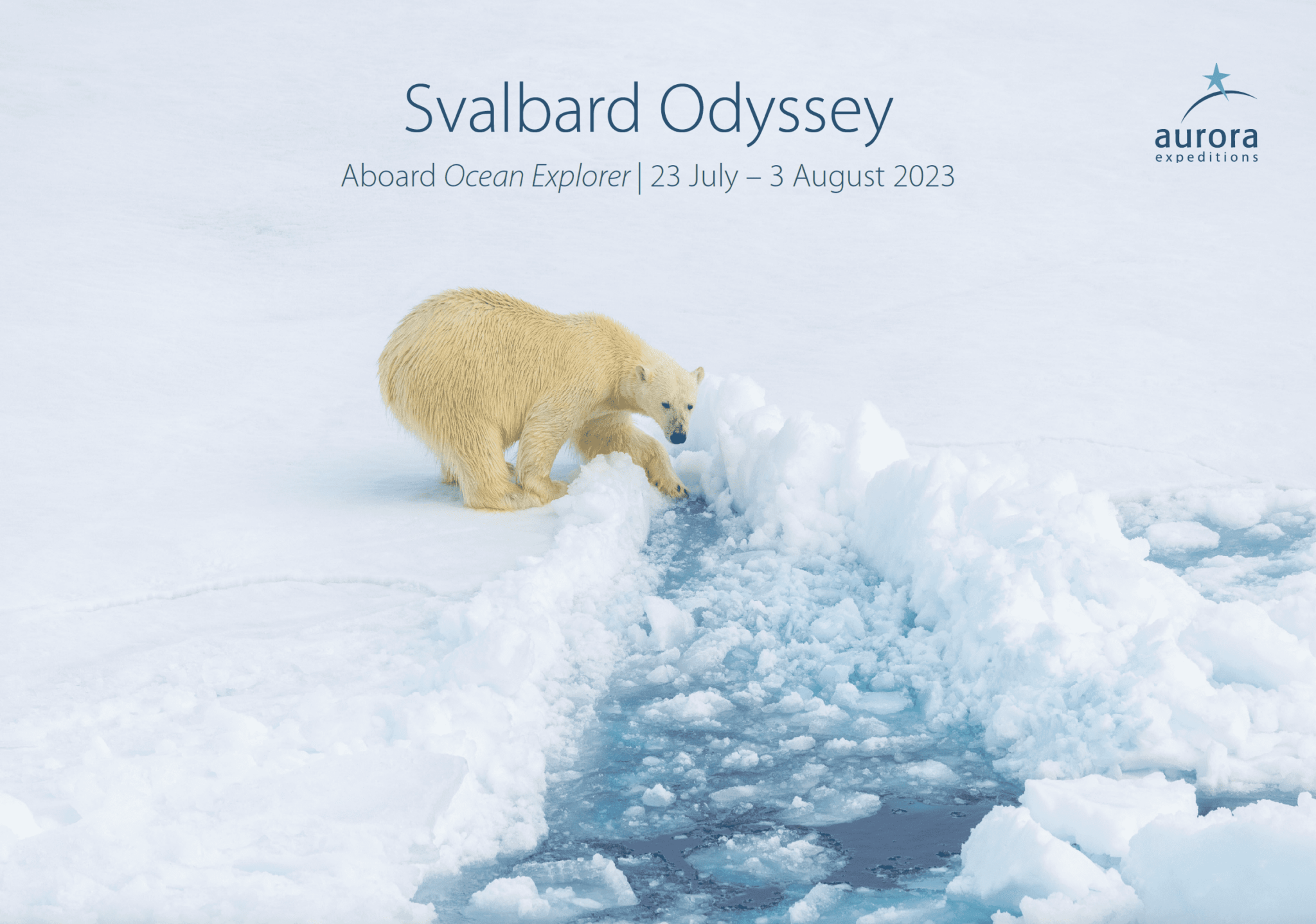 SVL060G-cover