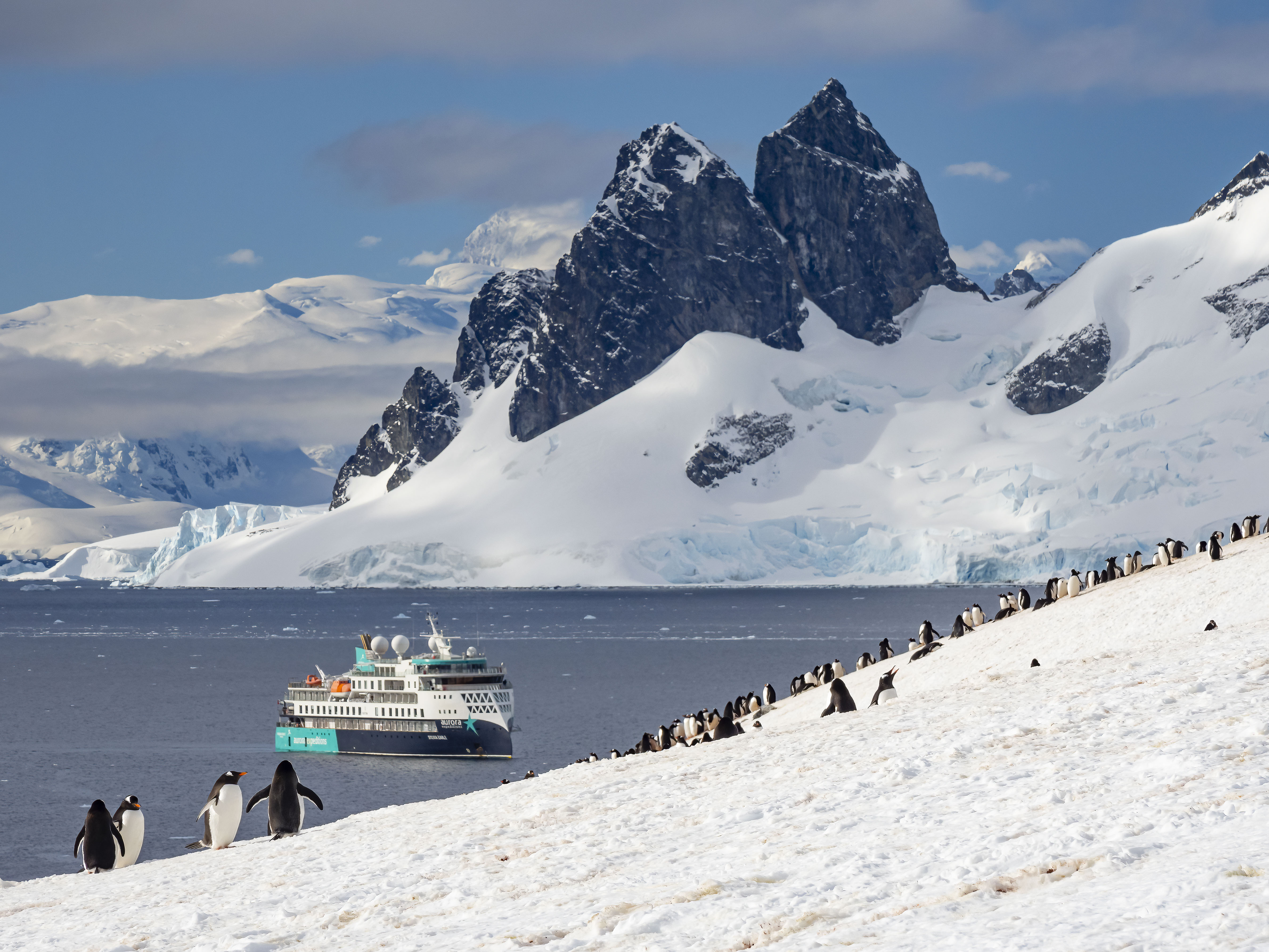 Sylvia Earle, Danco Island, Antarctica, David Jaffe