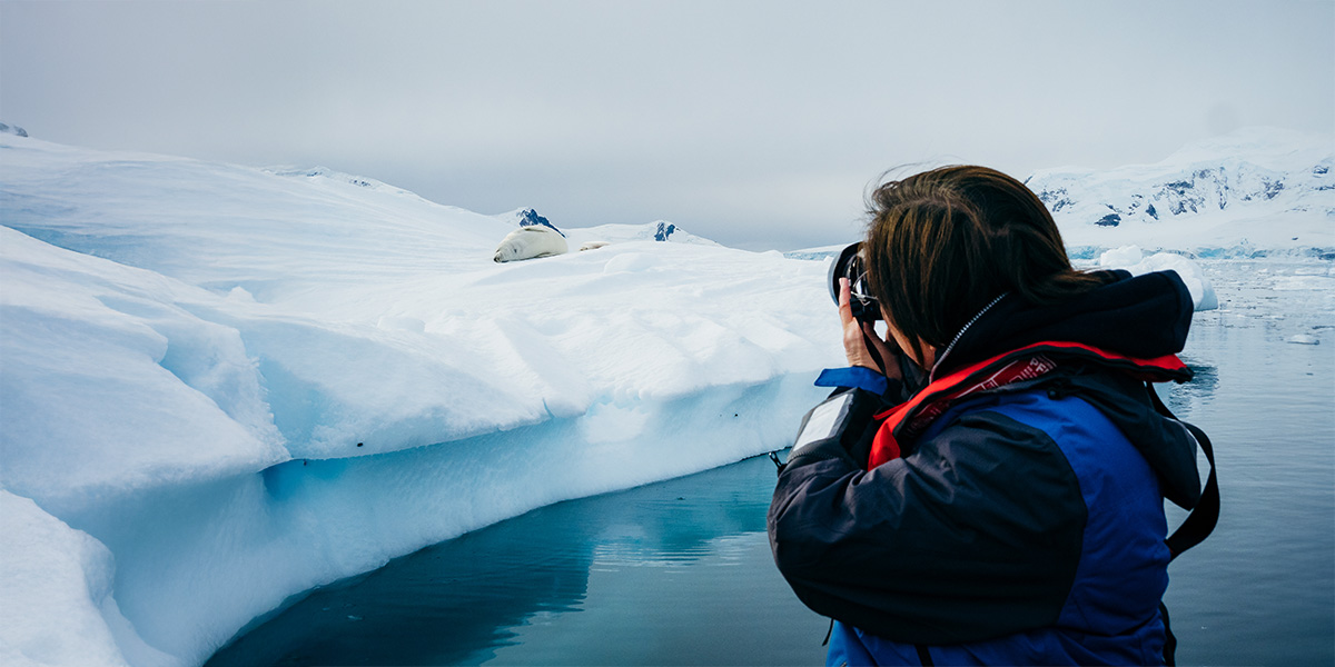 Photographing Seal, Paradise Harbour, Antarctica, Matt Horspool