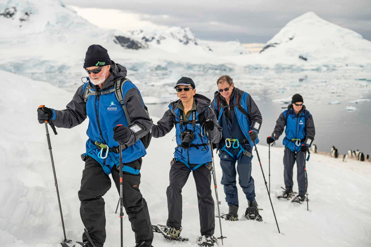 Raquette en Antarctique