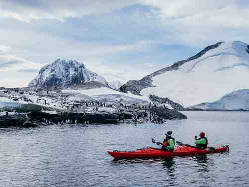 Kayaking Past Penguins, Pleneau & Port Charcot, Antarctica, Matt Horspool