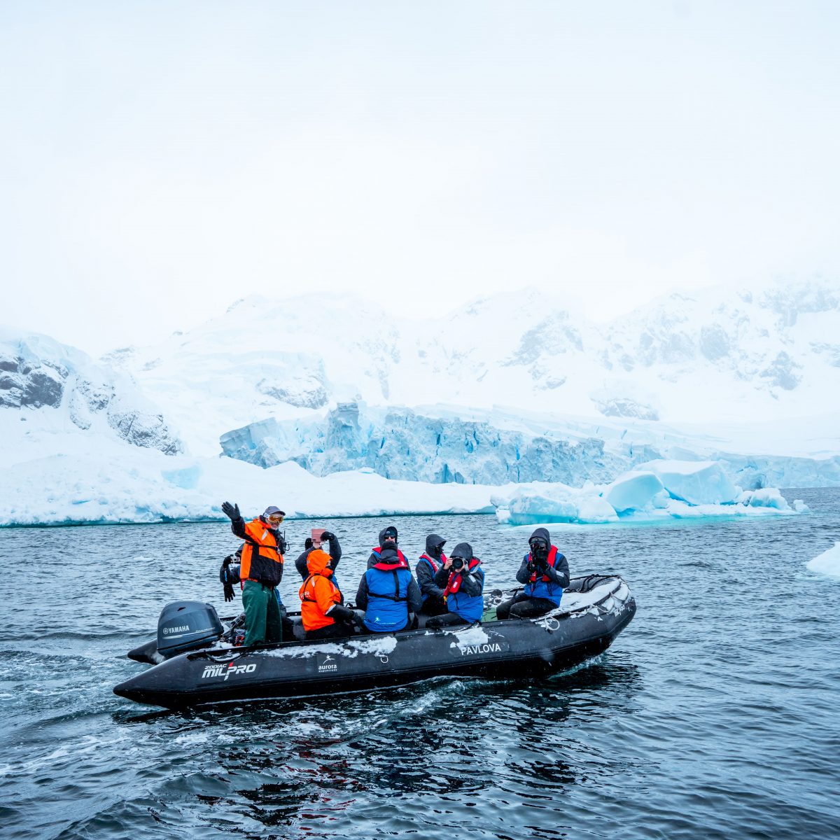 Zodiac Cruising, Antarctica, Tyson Mayr (1)