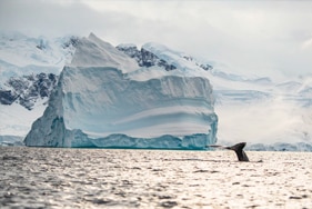 Antarctic Explorer – ANP133G