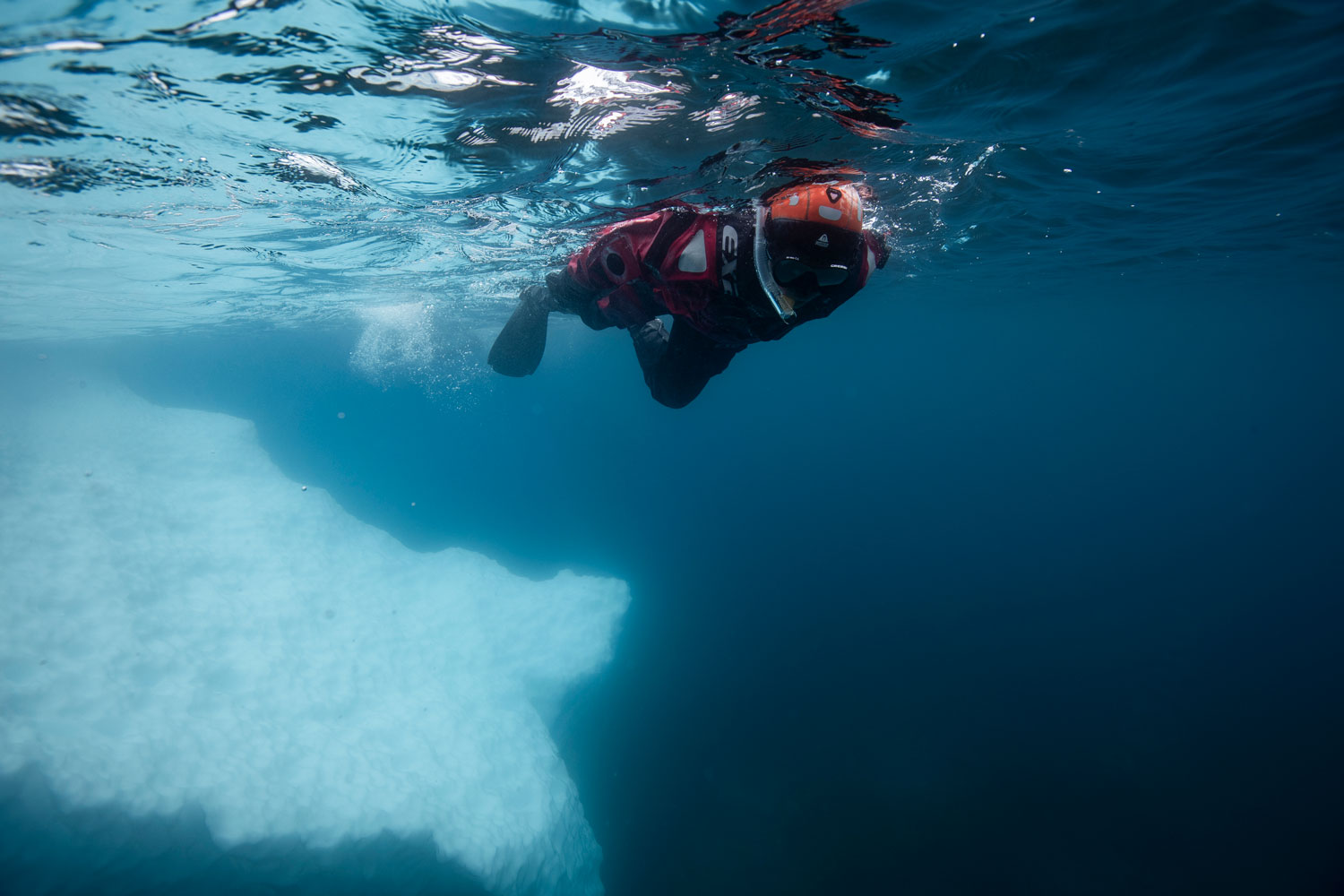 Snorkelling Antarctica by Scott Portelli