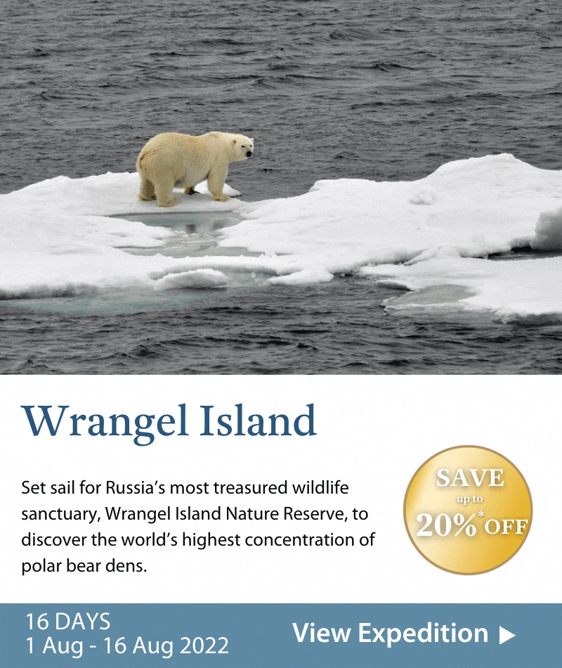 Wrangel Island Tile
