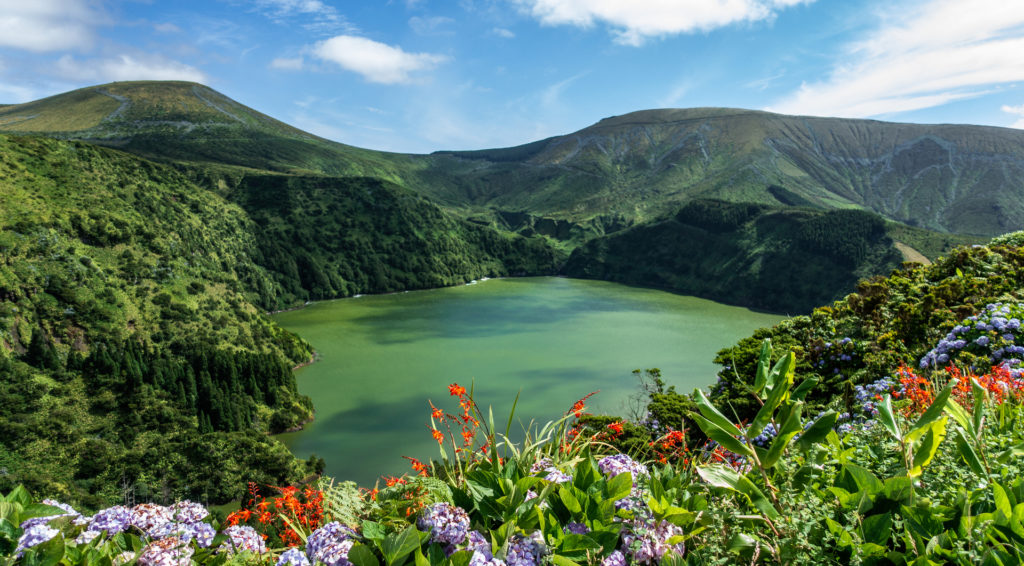 Flowers at Lagoa Funda das Lajes on Flores island, The Azores, Shutterstock
