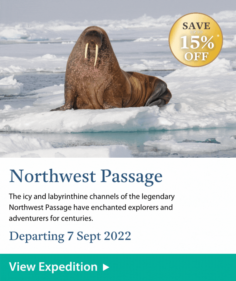 15% off Arctic & Global 2022 Tiles Northwest Passage