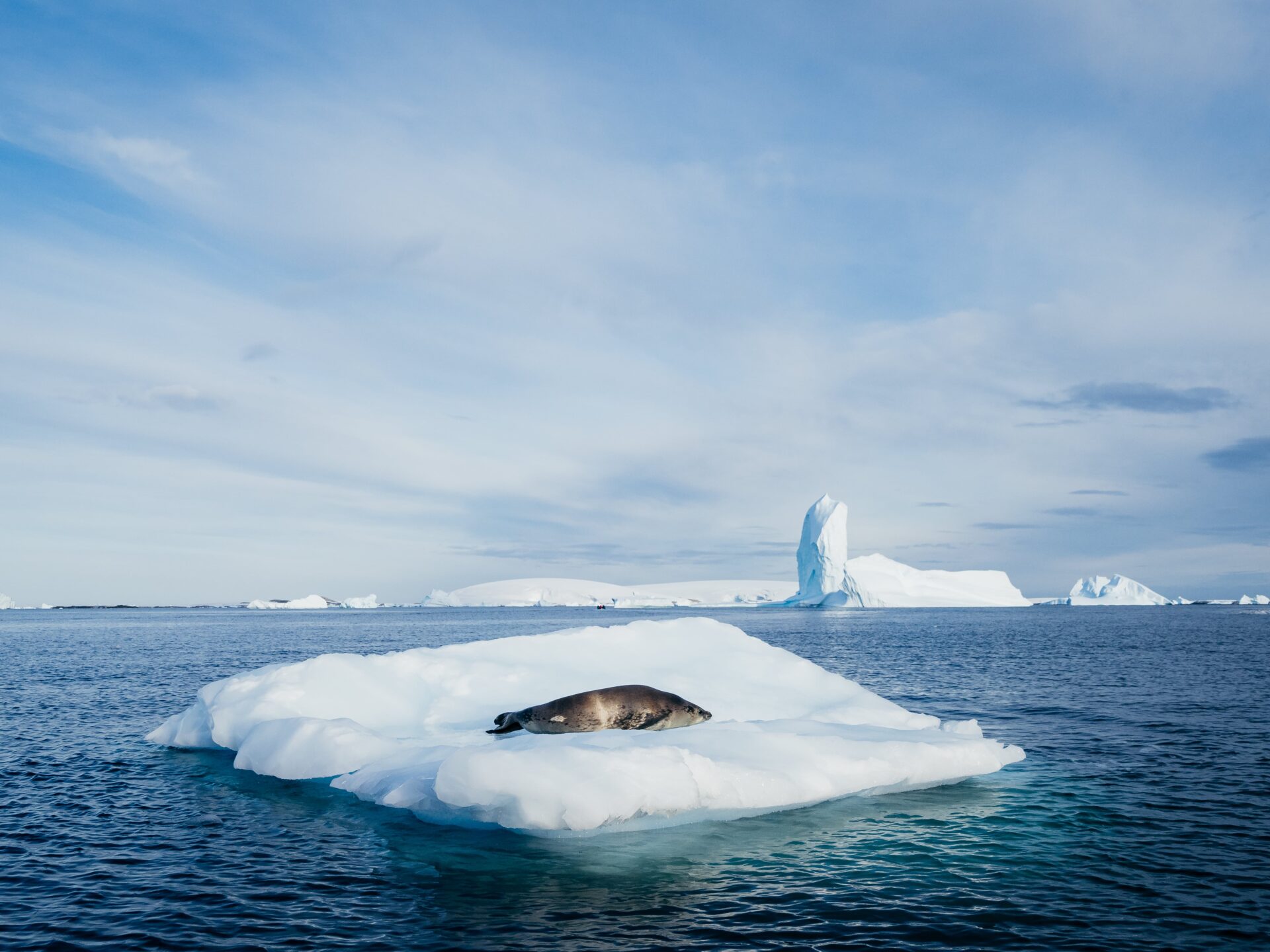 Meet Our Photography Guides - Aurora Expeditions™