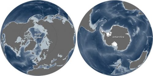 Arctic vs Antarctica
