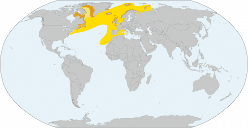 Atlantic puffin distribution map