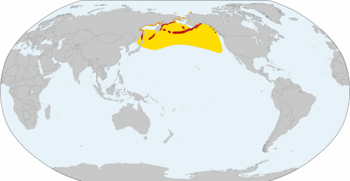 Horned puffin distribution map